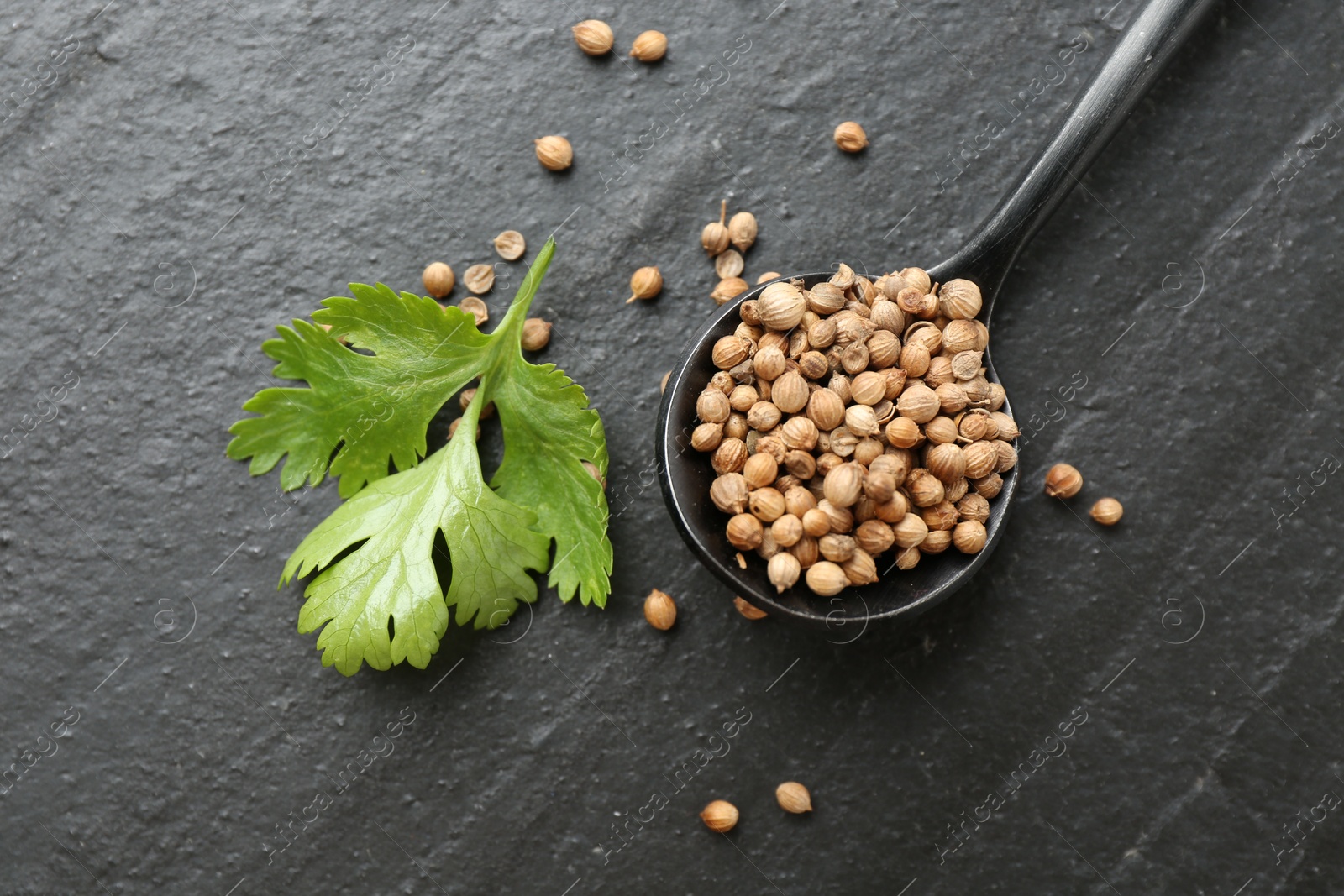 Coriander seeds, spoon and fresh cilantro leaves on dark textured table, flat lay Photo of Coriander seeds, spoon and fresh cilantro leaves on dark textured table, flat lay