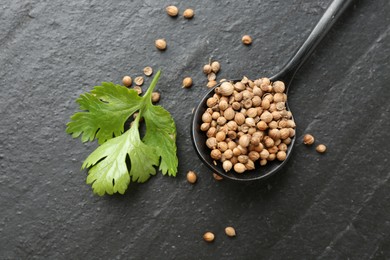 Photo of Coriander seeds, spoon and fresh cilantro leaves on dark textured table, flat lay