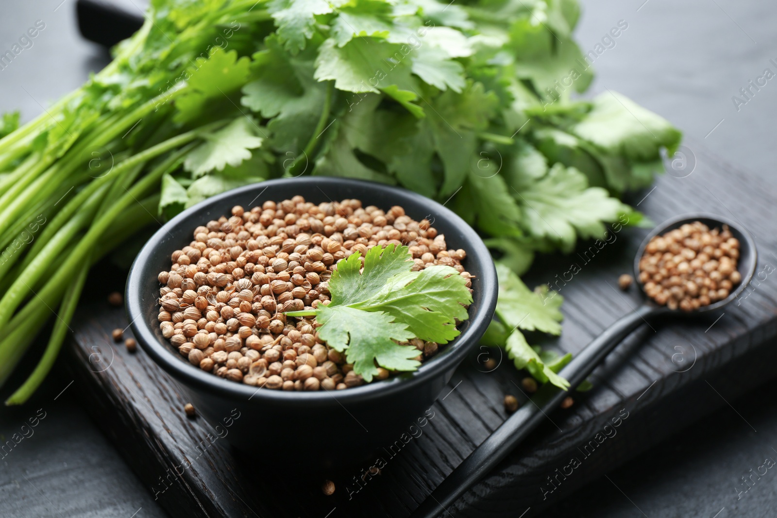 Coriander seeds in bowl, spoon and fresh cilantro leaves on dark table, closeup Photo of Coriander seeds in bowl, spoon and fresh cilantro leaves on dark table, closeup