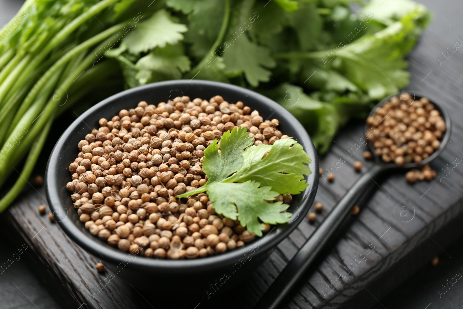 Coriander seeds in bowl, spoon and fresh cilantro leaves on dark table, closeup Photo of Coriander seeds in bowl, spoon and fresh cilantro leaves on dark table, closeup