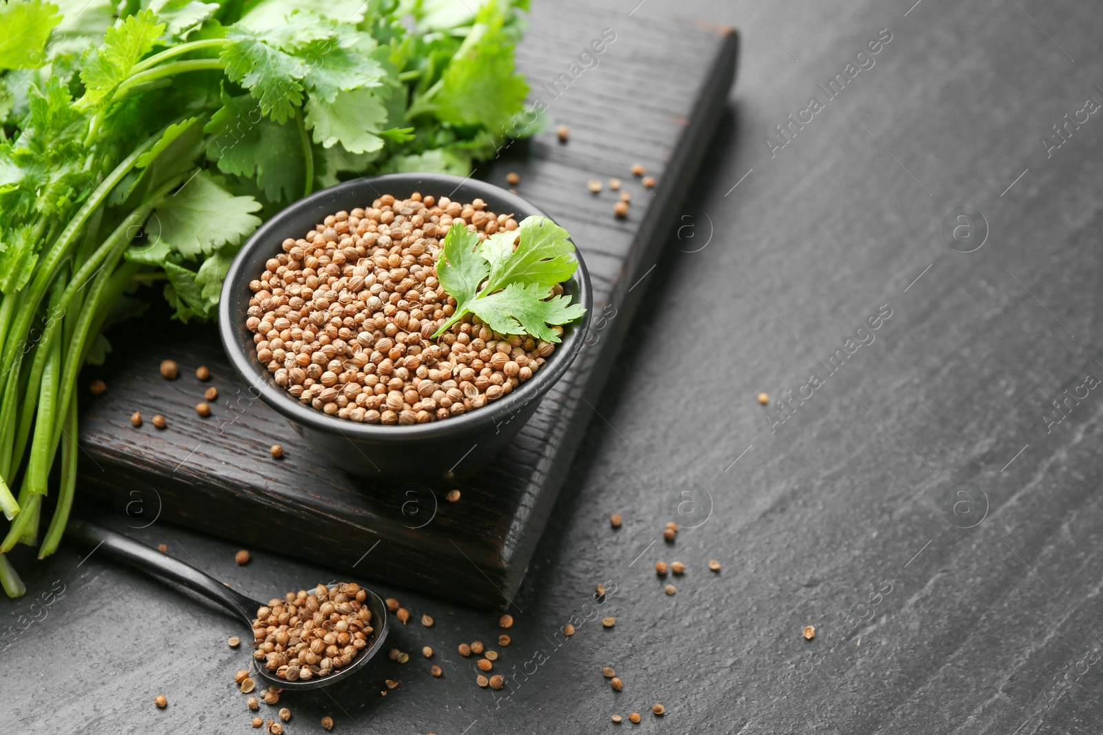 Coriander seeds in bowl, spoon and fresh cilantro leaves on dark textured table, closeup. Space for text Photo of Coriander seeds in bowl, spoon and fresh cilantro leaves on dark textured table, closeup. Space for text