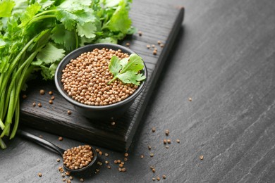 Photo of Coriander seeds in bowl, spoon and fresh cilantro leaves on dark textured table, closeup. Space for text