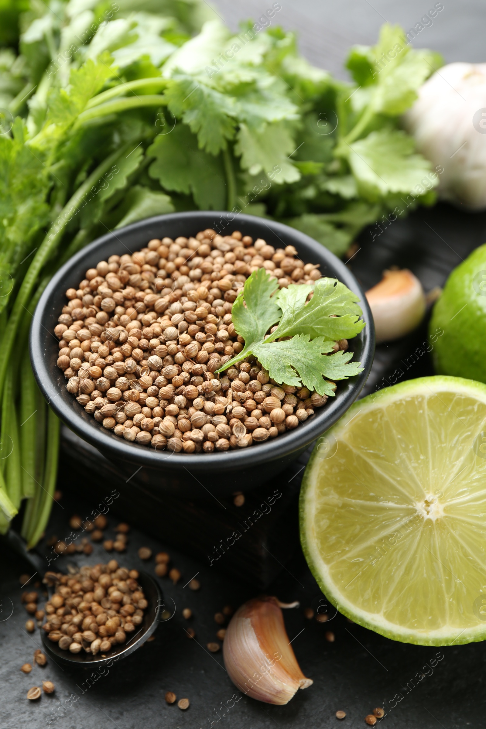 Coriander seeds in bowl, fresh cilantro, lime and garlic on dark textured table, closeup Photo of Coriander seeds in bowl, fresh cilantro, lime and garlic on dark textured table, closeup