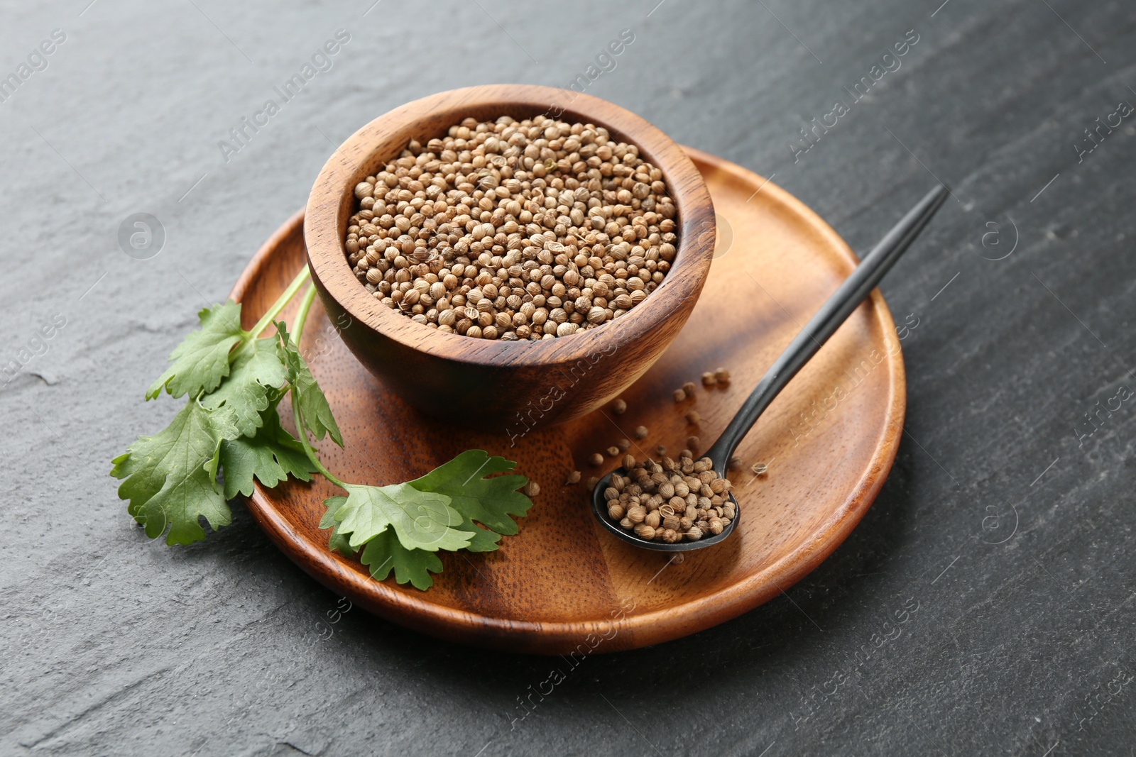 Coriander seeds in bowl, spoon and fresh cilantro leaves on dark textured table, closeup Photo of Coriander seeds in bowl, spoon and fresh cilantro leaves on dark textured table, closeup