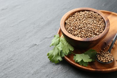 Photo of Coriander seeds in bowl, spoon and fresh cilantro leaves on dark textured table, closeup. Space for text