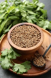 Photo of Coriander seeds in bowl, spoon and fresh cilantro leaves on dark table, closeup