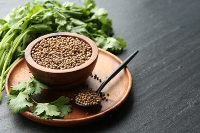 Photo of Coriander seeds in bowl, spoon and fresh cilantro leaves on dark textured table, closeup. Space for text