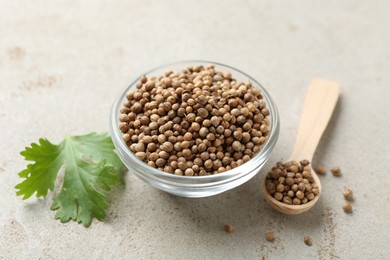 Photo of Coriander seeds in bowl, spoon and fresh cilantro leaf on color textured table, closeup