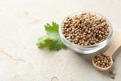 Photo of Coriander seeds in bowl, spoon and fresh cilantro leaf on color textured table, closeup. Space for text