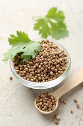 Photo of Coriander seeds in bowl, spoon and fresh cilantro leaf on color textured table, closeup