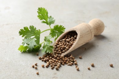 Photo of Coriander seeds and fresh cilantro sprig on grey textured table, closeup