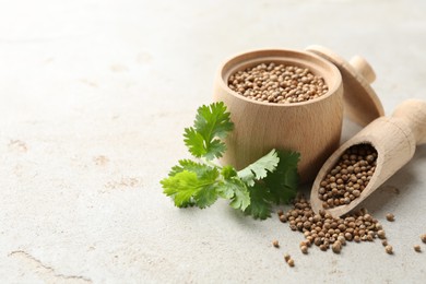 Photo of Coriander seeds and fresh cilantro sprig on light textured table, closeup. Space for text