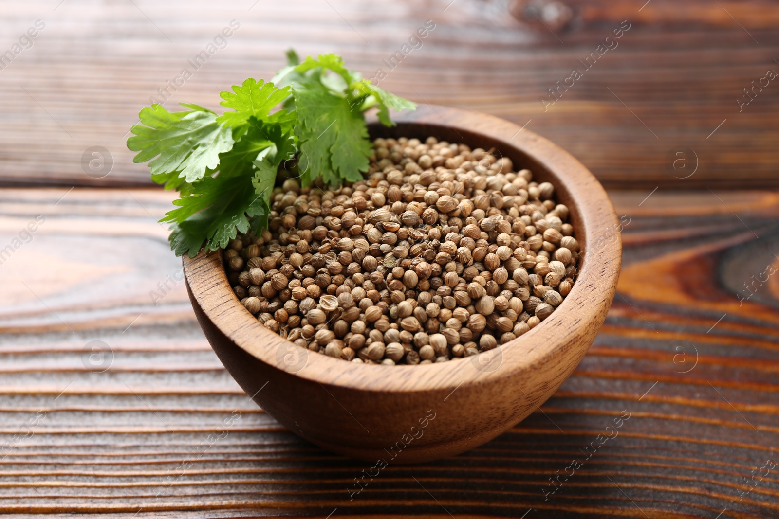 Coriander seeds and fresh cilantro leaves in bowl on wooden table, closeup Photo of Coriander seeds and fresh cilantro leaves in bowl on wooden table, closeup