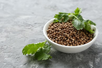 Photo of Coriander seeds in bowl and fresh cilantro sprigs on grey textured table, closeup. Space for text