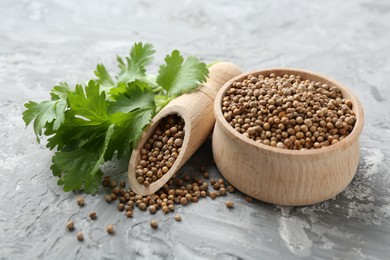 Photo of Coriander seeds in bowl, scoop and fresh cilantro sprigs on grey textured table, closeup
