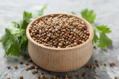 Photo of Coriander seeds and fresh cilantro sprigs on grey textured table, closeup