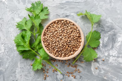Photo of Coriander seeds and fresh cilantro sprigs on grey textured table, flat lay