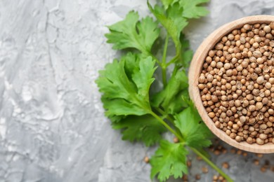 Photo of Coriander seeds and fresh cilantro sprigs on grey textured table, flat lay. Space for text