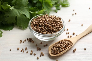 Photo of Coriander seeds in bowl, spoon and fresh cilantro leaves on light wooden table, closeup