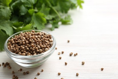 Photo of Coriander seeds in bowl and fresh cilantro leaves on light wooden table, closeup. Space for text