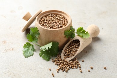 Photo of Coriander seeds and fresh cilantro sprigs on light textured table, closeup