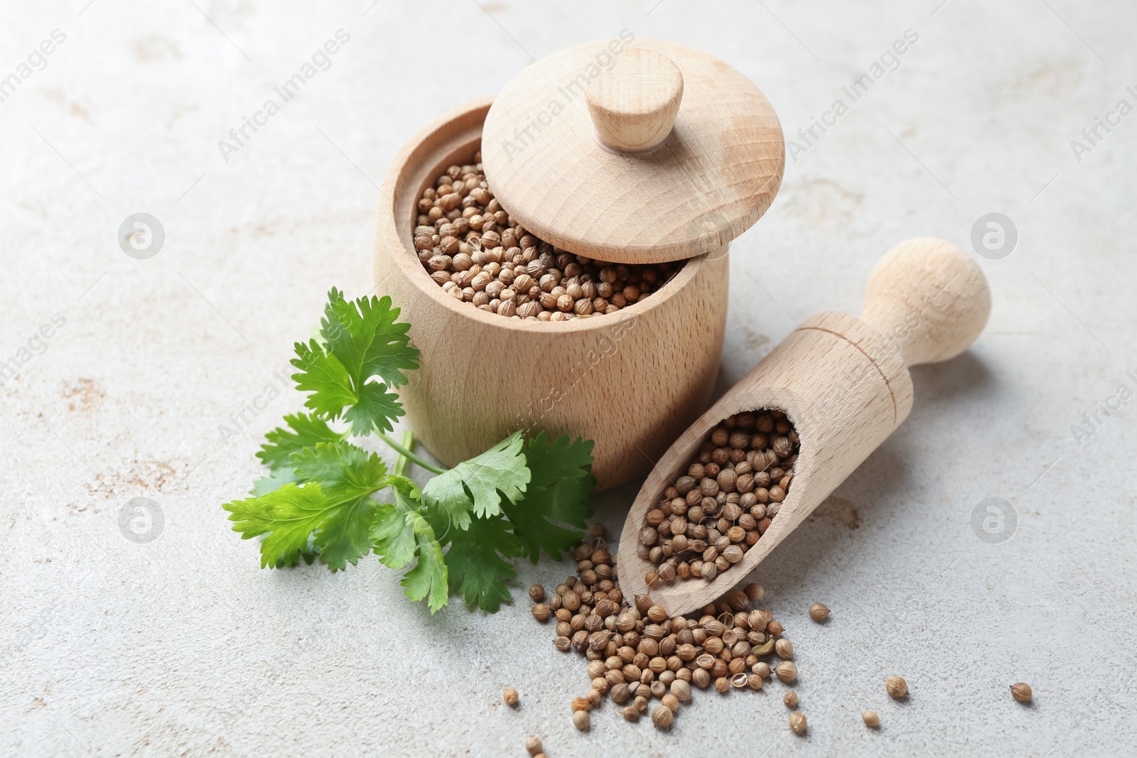 Photo of Coriander seeds and fresh cilantro sprig on light textured table, closeup