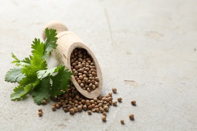 Photo of Coriander seeds and fresh cilantro sprig on light textured table, closeup. Space for text