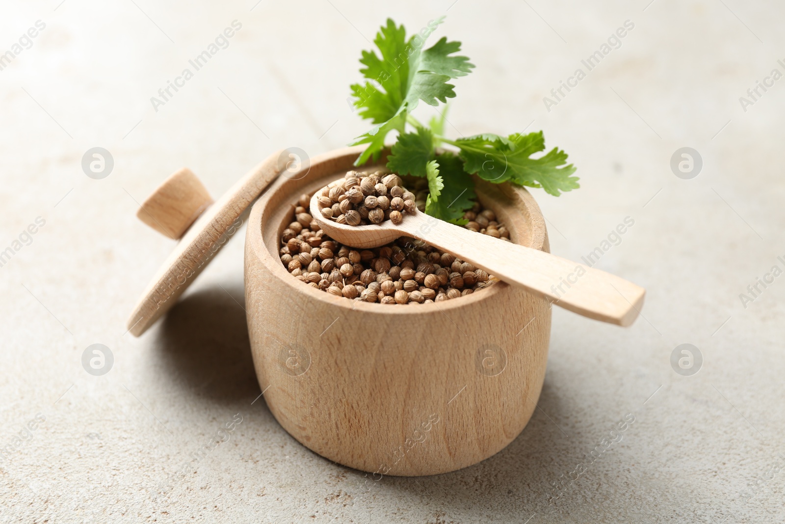 Photo of Coriander seeds and fresh cilantro sprig on light textured table, closeup