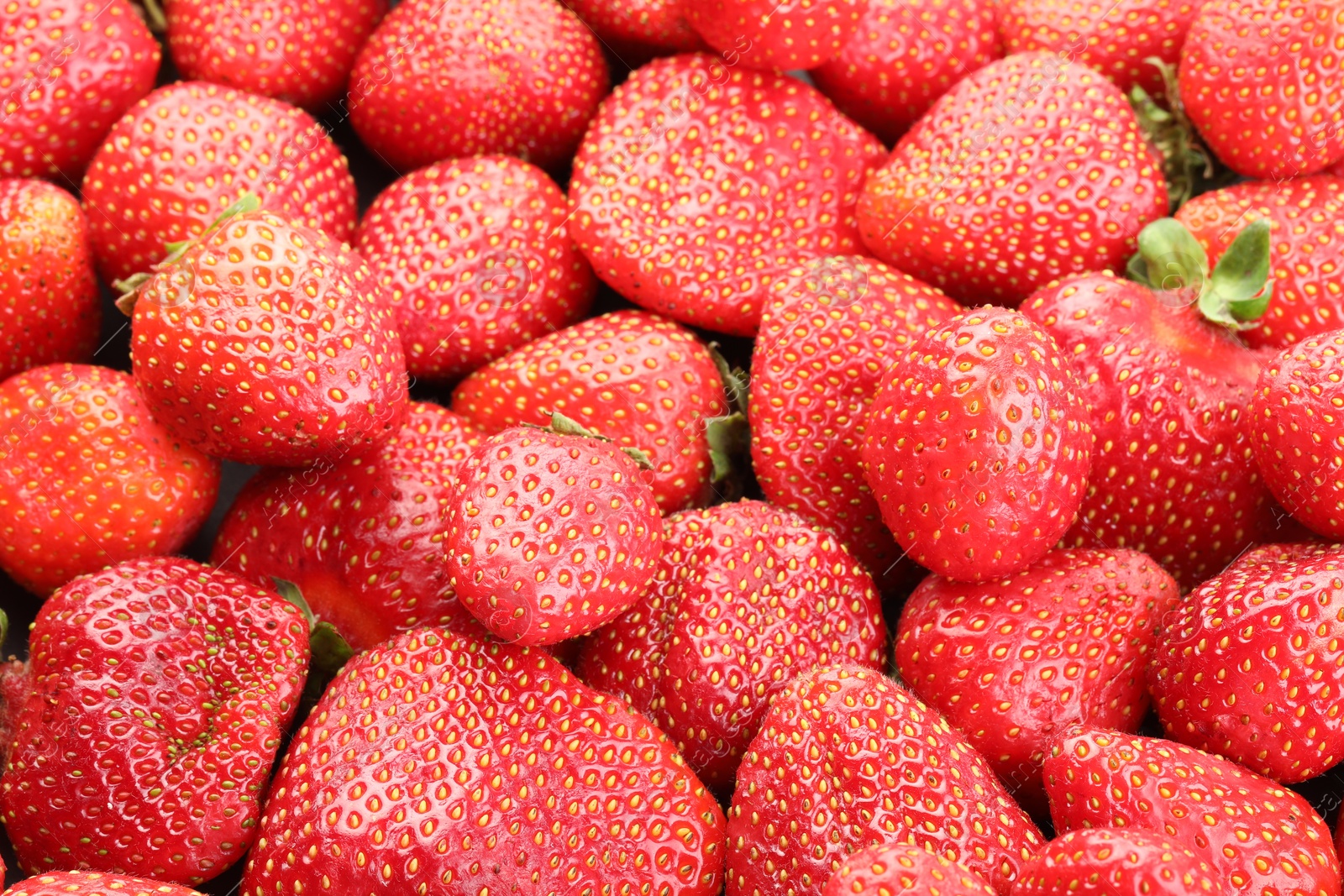 Photo of Fresh ripe strawberries as background, above view