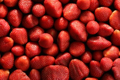 Photo of Fresh ripe strawberries as background, top view