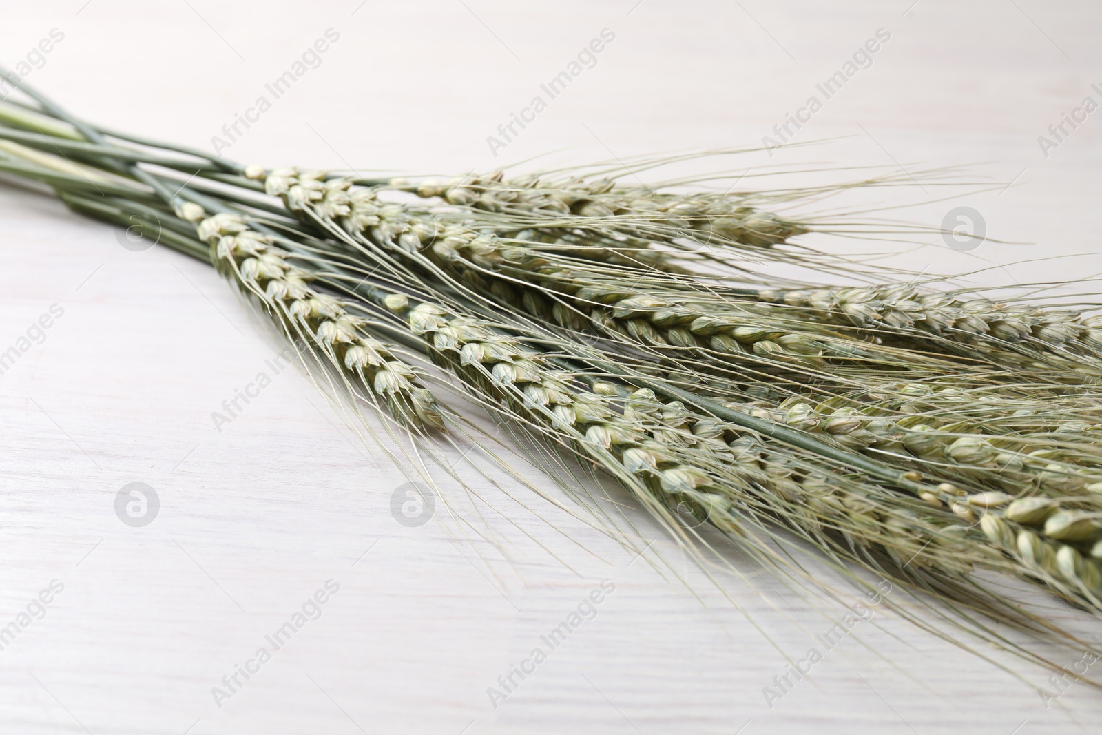 Many green wheat spikes on light wooden table, closeup Photo of Many green wheat spikes on light wooden table, closeup