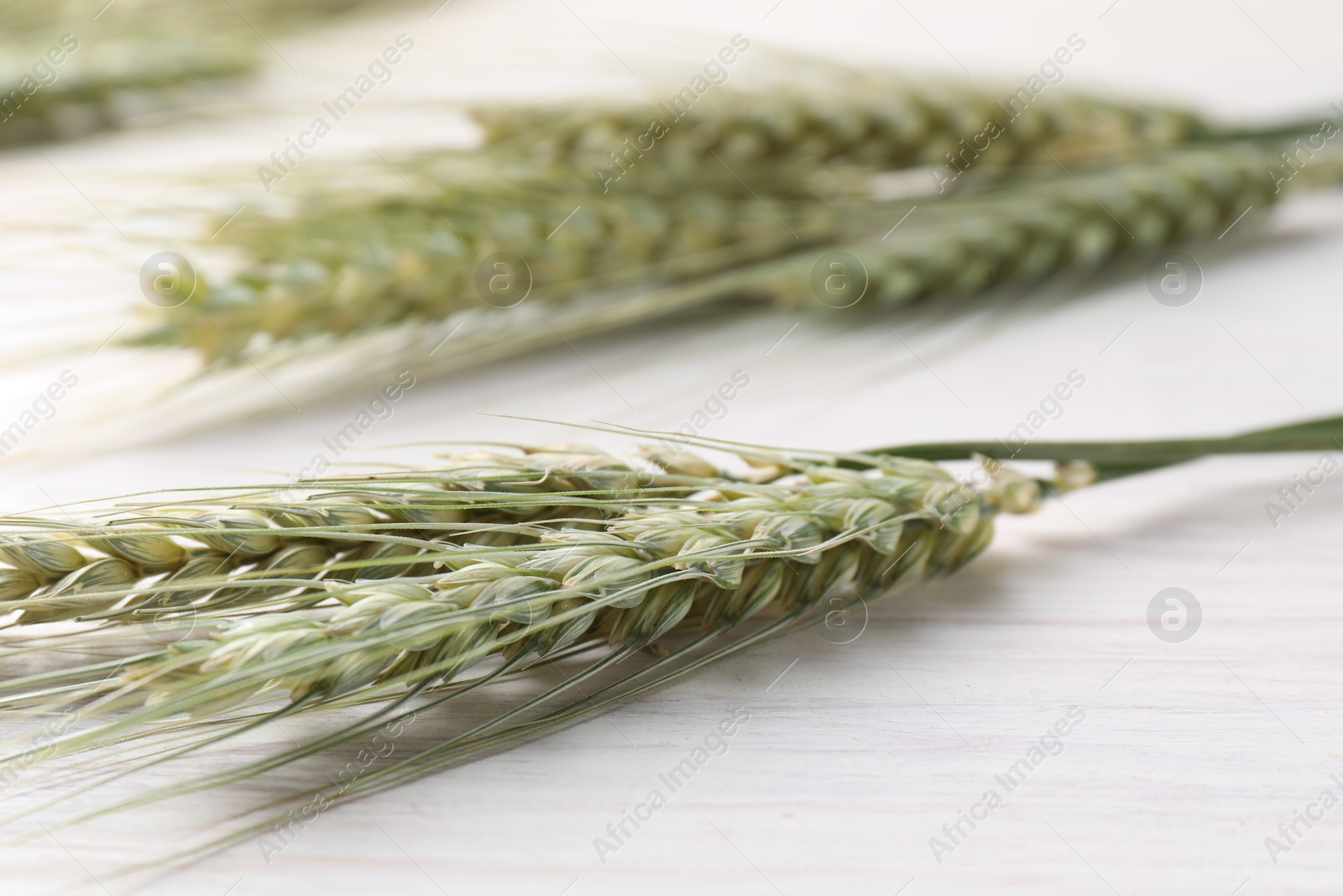 Many green wheat spikes on light wooden table, closeup Photo of Many green wheat spikes on light wooden table, closeup