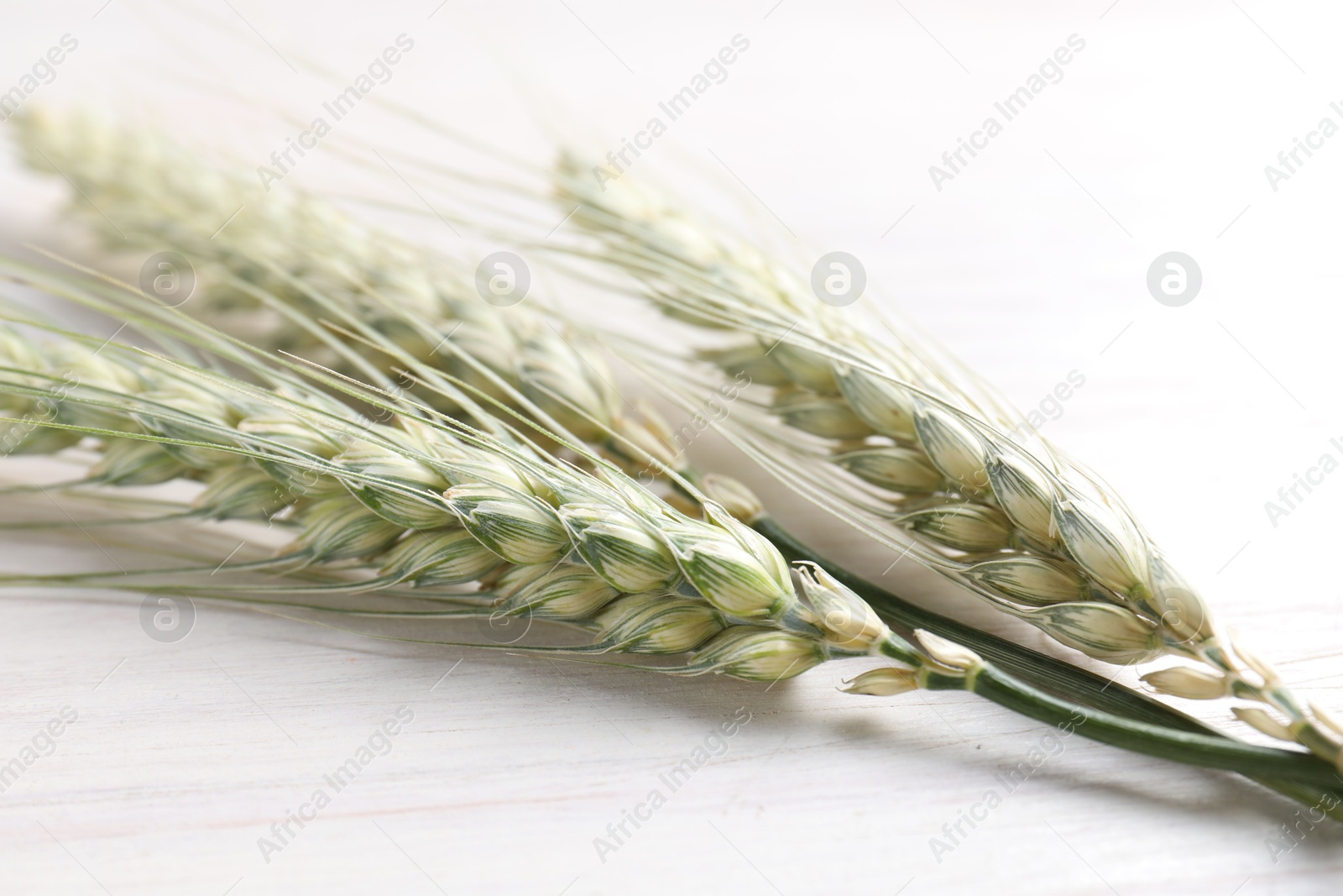 Photo of Green wheat spikes on light wooden table, closeup
