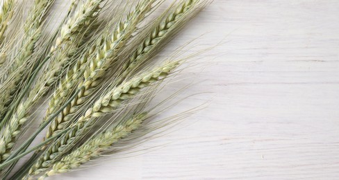 Photo of Many green wheat spikes on light wooden table, flat lay. Space for text