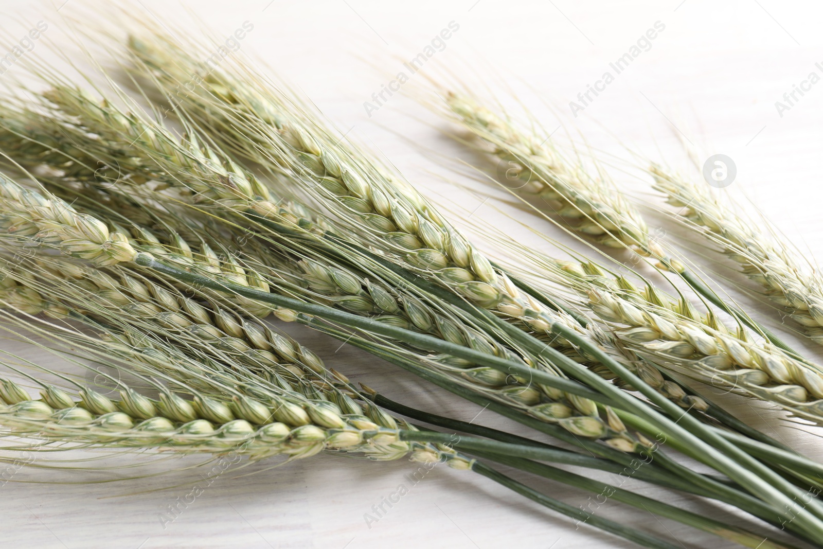 Many green wheat spikes on light wooden table, flat lay Photo of Many green wheat spikes on light wooden table, flat lay