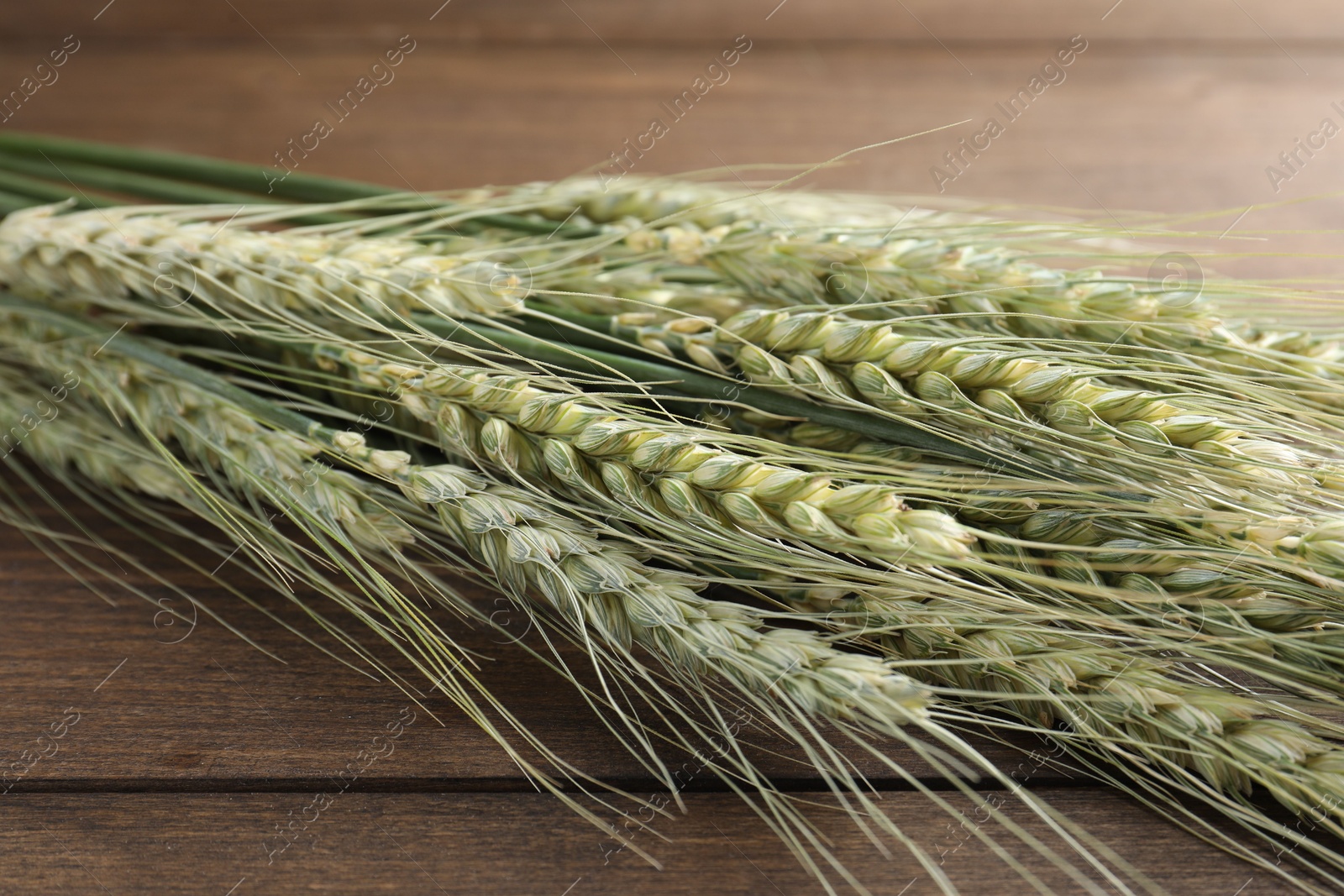 Photo of Many green wheat spikes on wooden table, closeup