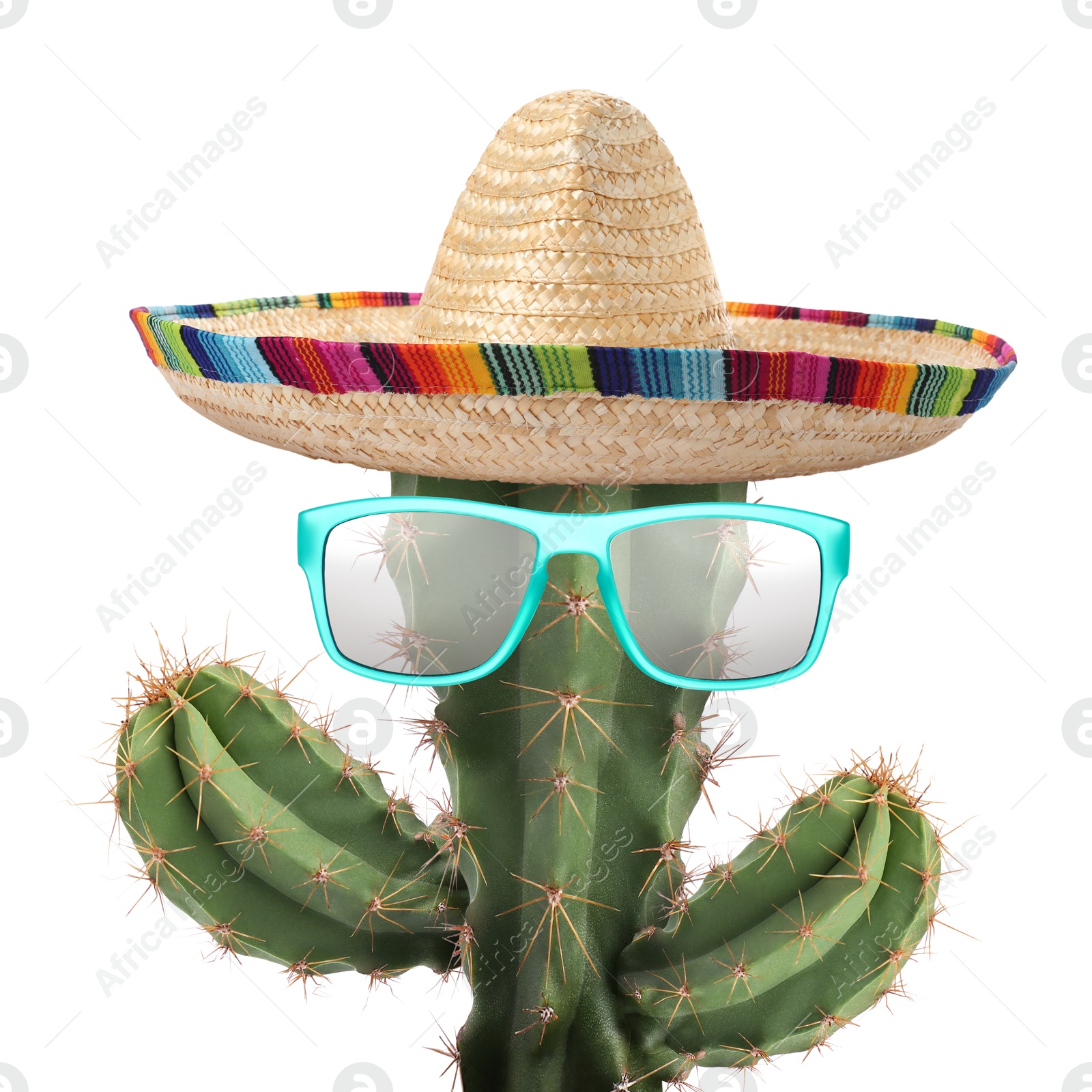Cactus with sunglasses and sombrero hat against white background Image of Cactus with sunglasses and sombrero hat against white background