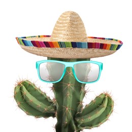 Image of Cactus with sunglasses and sombrero hat against white background