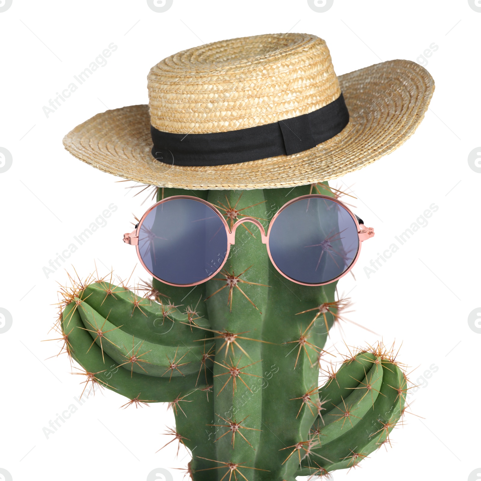 Image of Cactus with sunglasses and hat against white background