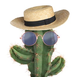 Image of Cactus with sunglasses and hat against white background