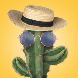 Image of Cactus with sunglasses and hat against pale orange background