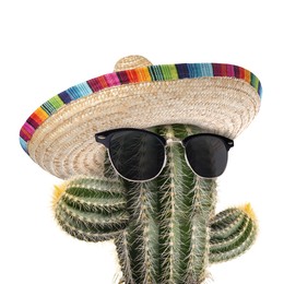 Image of Cactus with sunglasses and sombrero hat against white background