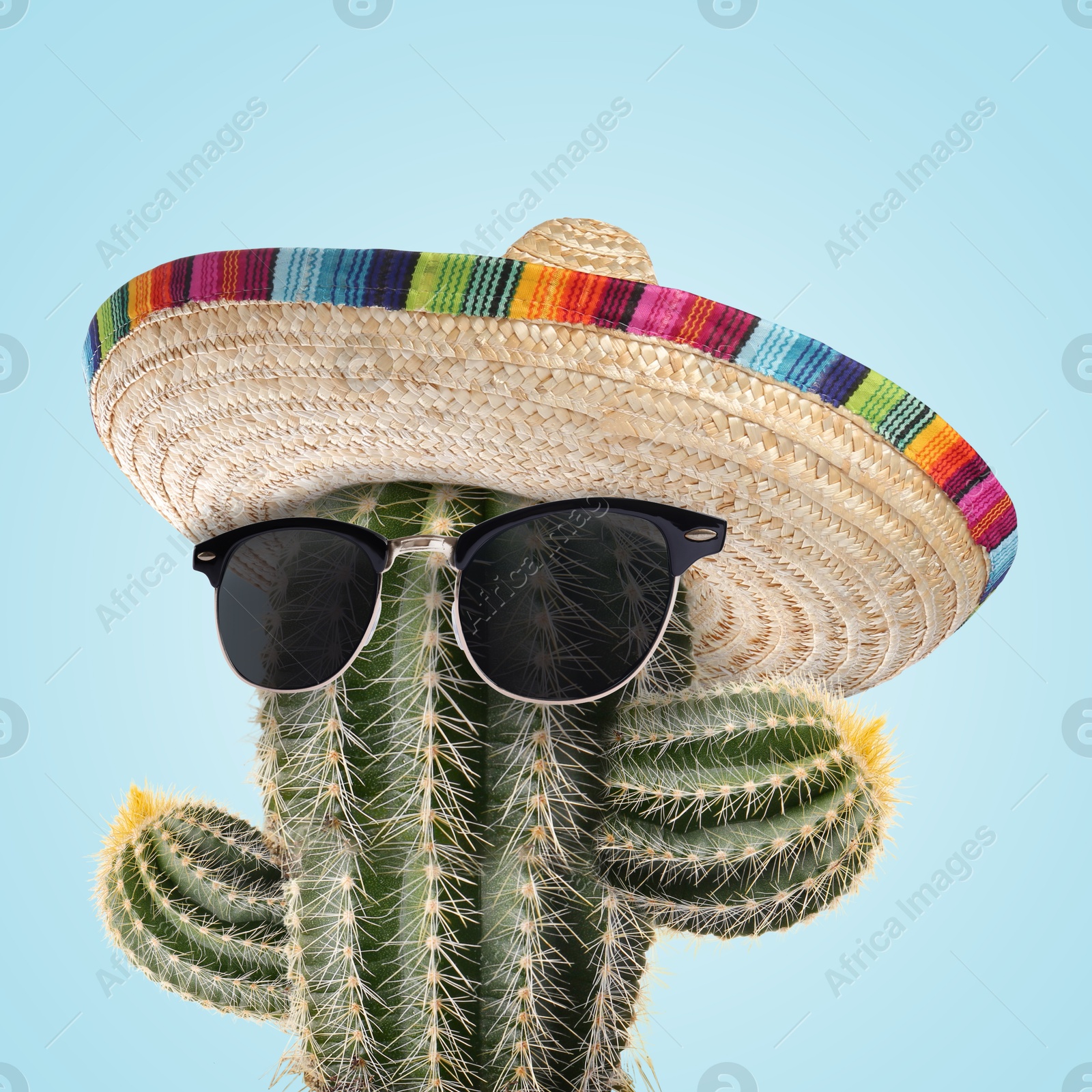 Image of Cactus with sunglasses and sombrero hat against light blue background
