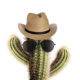 Image of Cactus with sunglasses and hat against white background