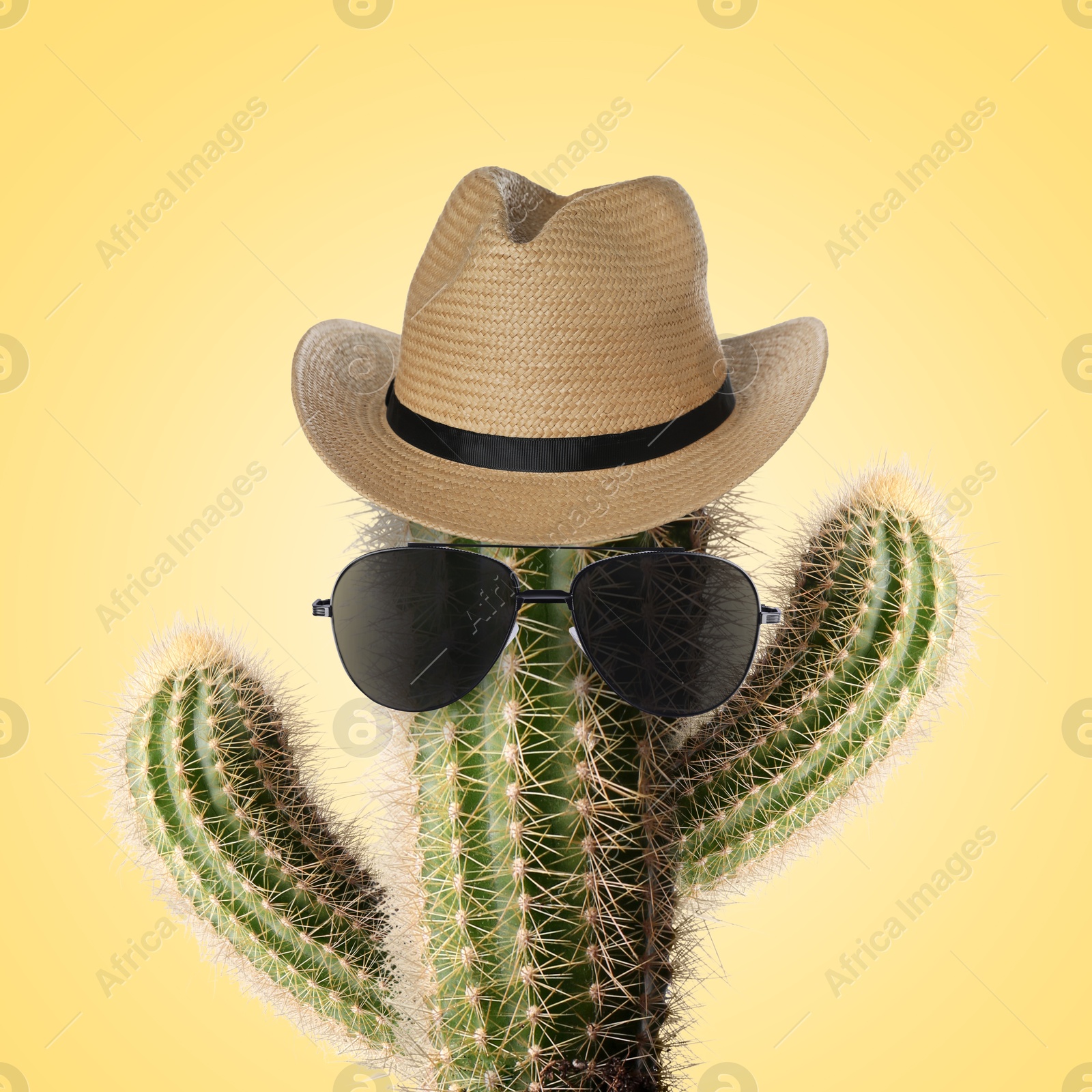 Image of Cactus with sunglasses and hat against pale orange background