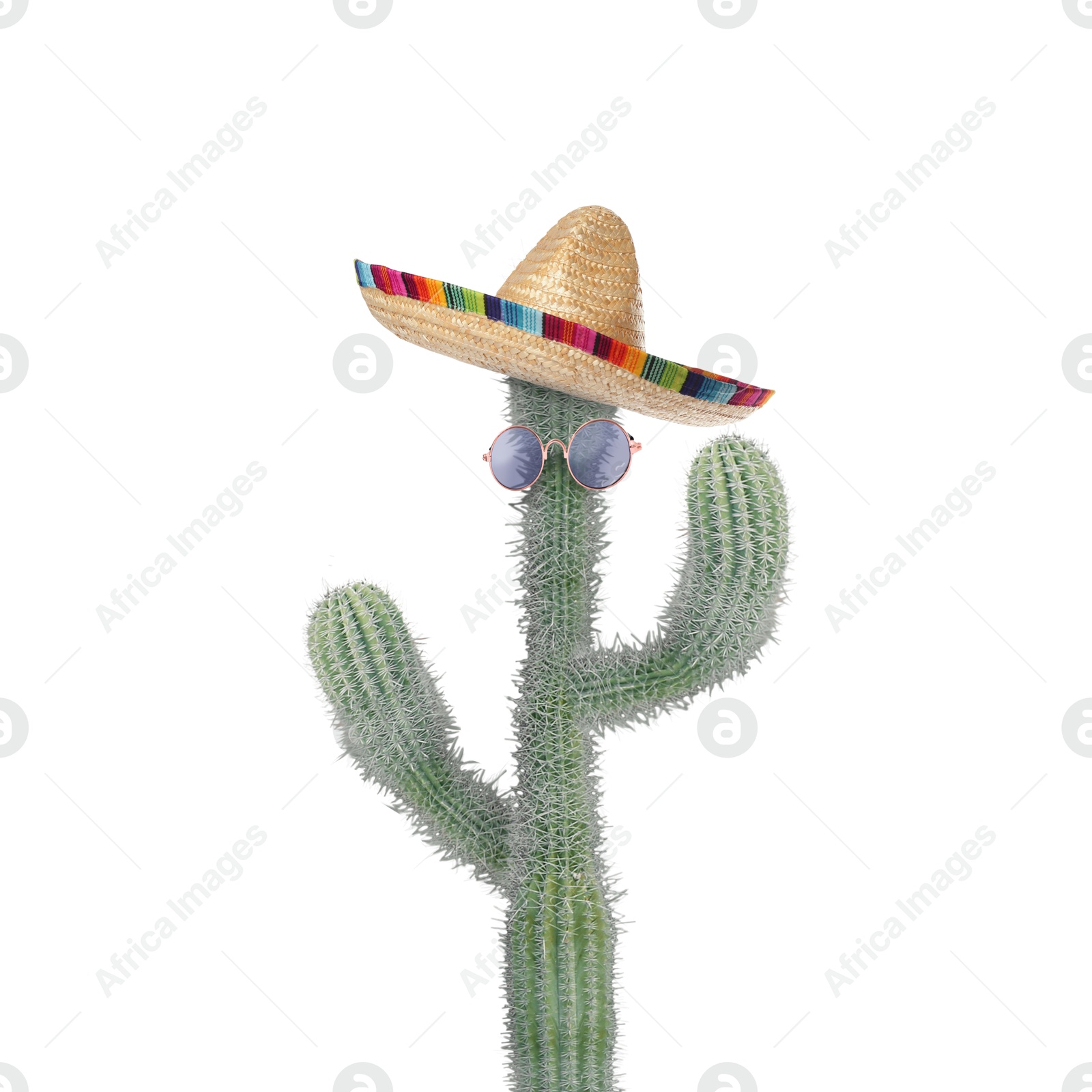 Image of Cactus with sunglasses and sombrero hat against white background
