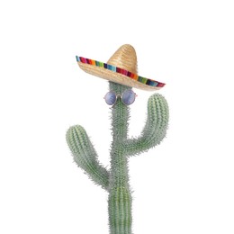 Image of Cactus with sunglasses and sombrero hat against white background