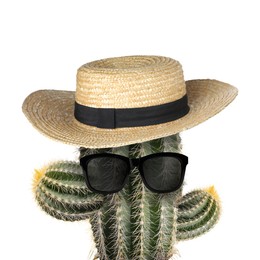 Image of Cactus with sunglasses and hat against white background