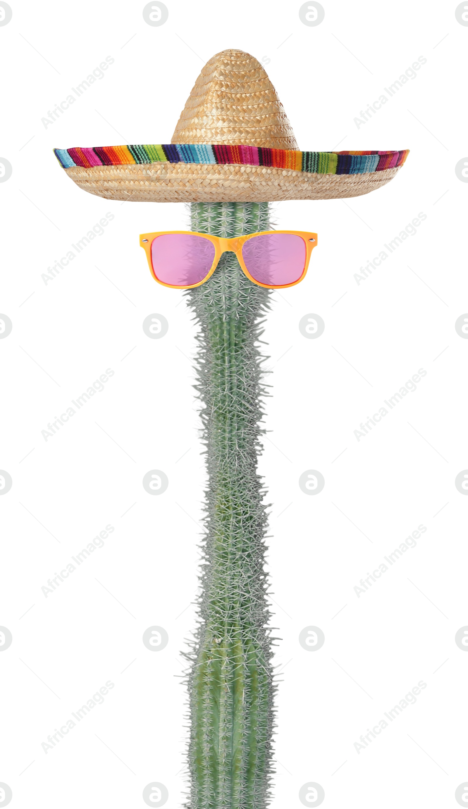 Cactus with sunglasses and sombrero hat against white background Image of Cactus with sunglasses and sombrero hat against white background