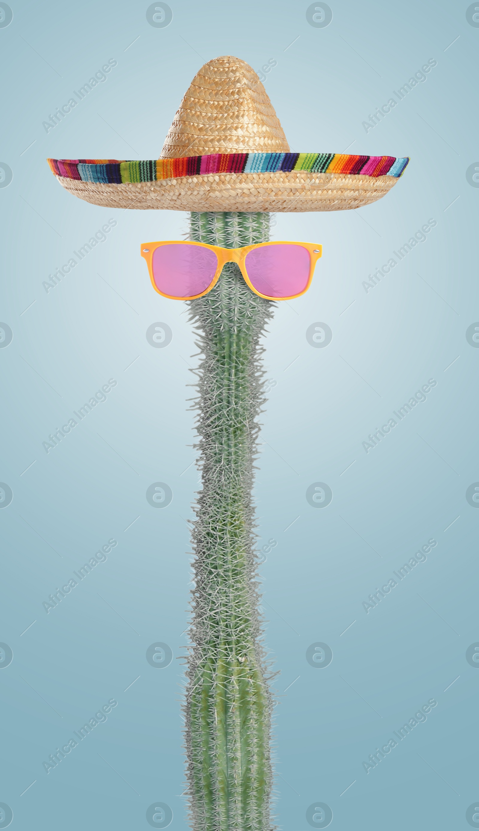 Image of Cactus with sunglasses and sombrero hat against greyish blue background